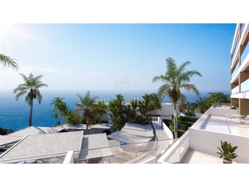 Additional image 12 of Calheta (Calheta (Madeira))