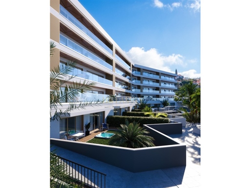 Additional image 15 of Calheta (Calheta (Madeira))