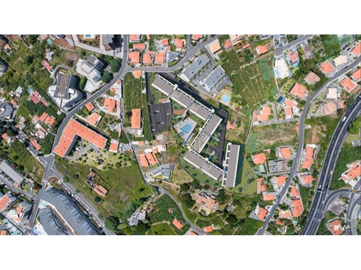 Additional image 16 of São Martinho (Funchal)