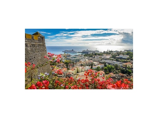 Additional image 17 of São Martinho (Funchal)