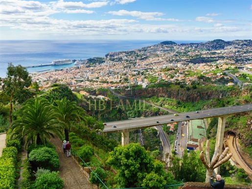Additional image 19 of São Martinho (Funchal)