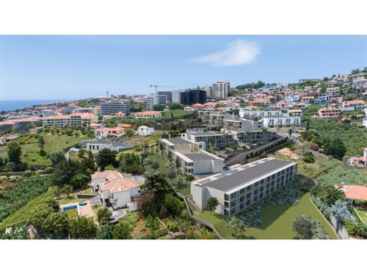 Additional image 15 of São Martinho (Funchal)