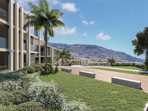 Additional image 19 of São Martinho (Funchal)