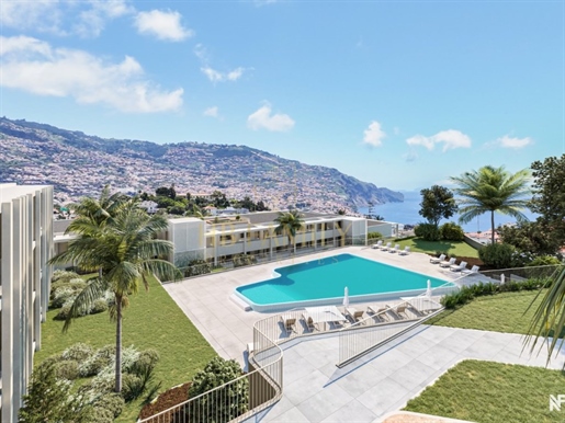 Additional image 20 of São Martinho (Funchal)