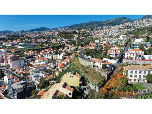 Additional image 7 of Imaculado Coração De Maria (Funchal)