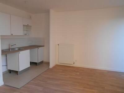 Appartement à louer, 47m², Lyon 8ème