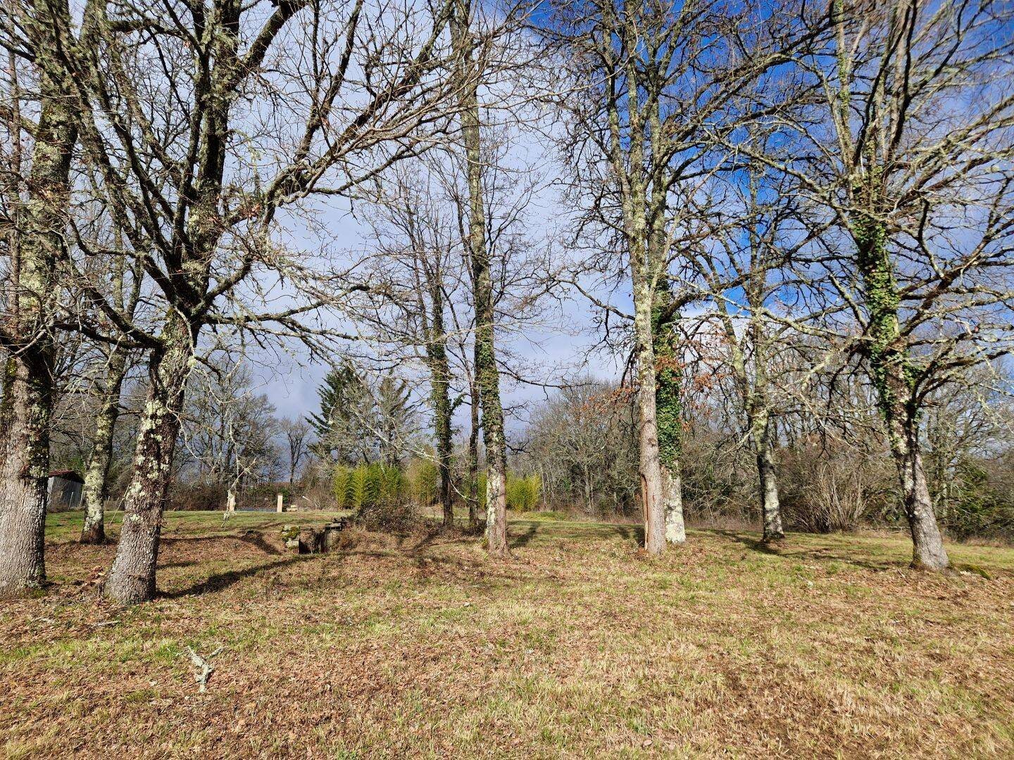 Maison à vendre, 45m², Savignac-de-Miremont