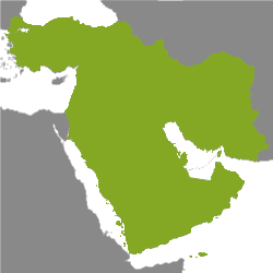 Nemovitosti: Middle East