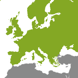 Onroerend goed Europa